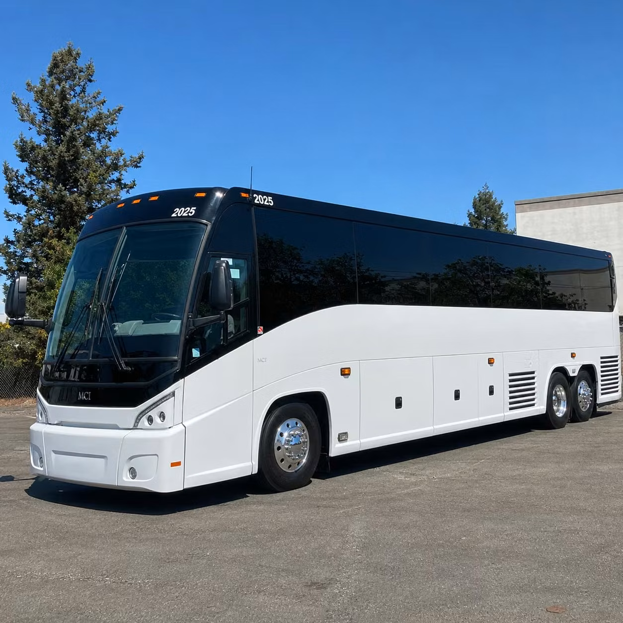 every country music fan deserves a bus to billy bob s texas